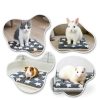 Arctic Eagle Guinea Pig Bed Soft Coral Fleece-5