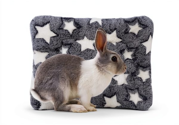 Arctic Eagle Guinea Pig Bed Soft Coral Fleece-1